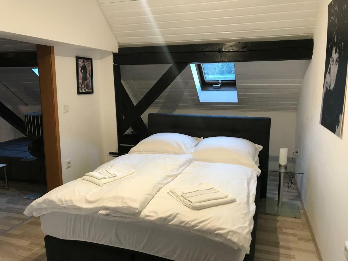 Apartment Direkt An Der Waldnaab نويشتات أن در فالدناب المظهر الخارجي الصورة